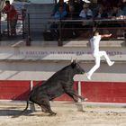 Course Camarguaise