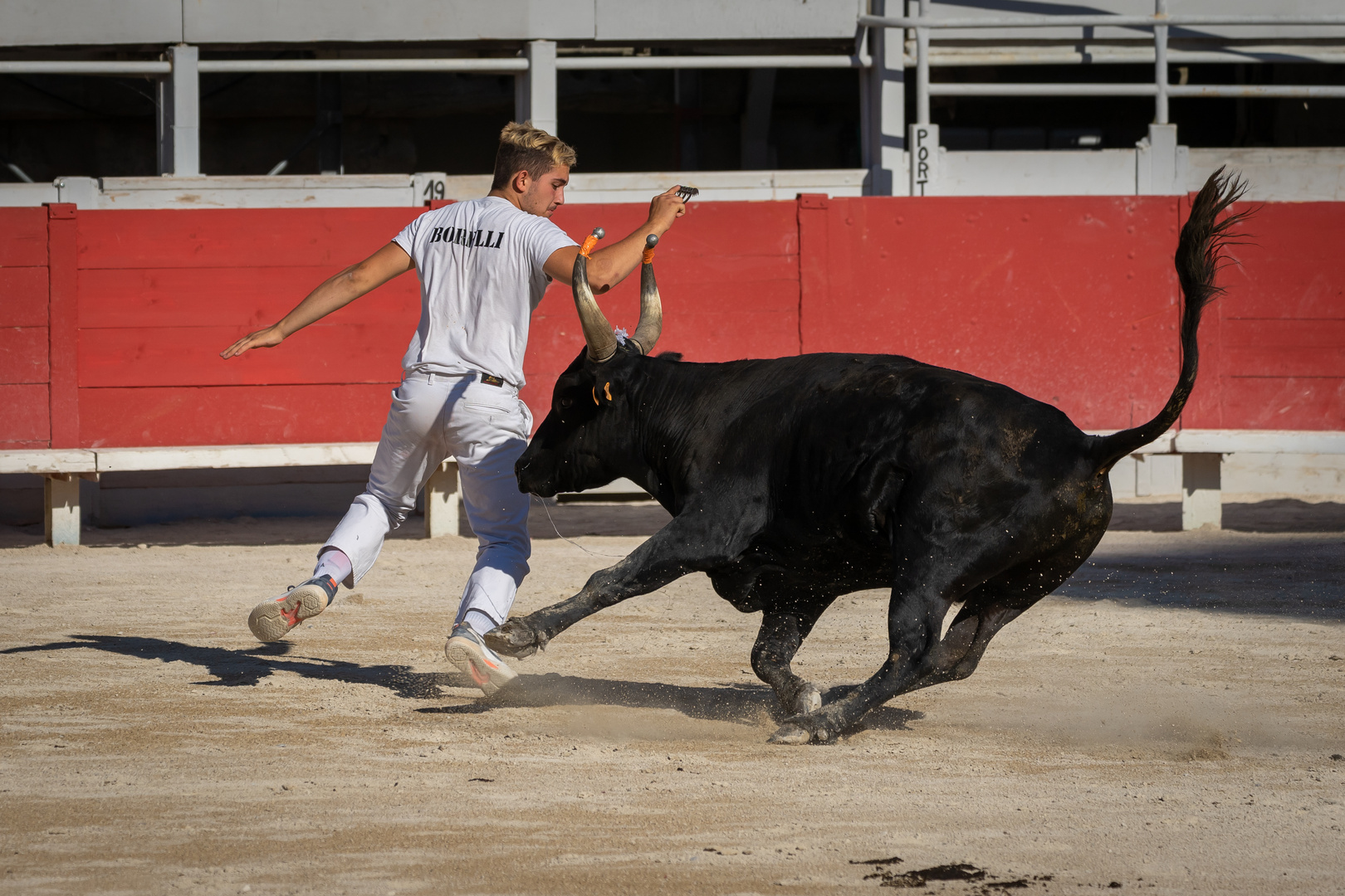 Course Camarguaise