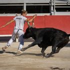 Course Camarguaise