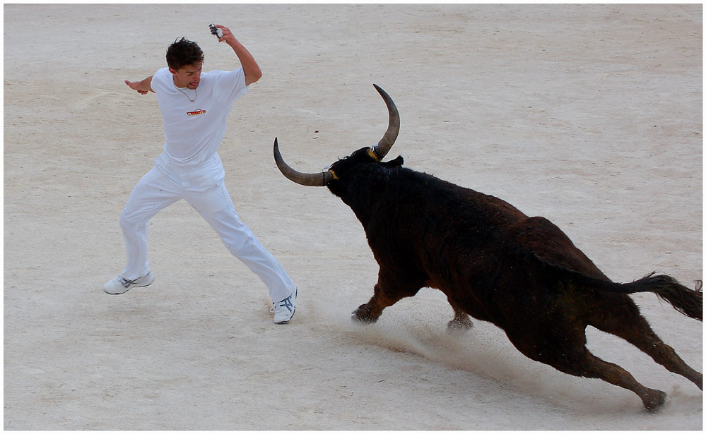 Course Camarguaise I ...