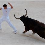 Course Camarguaise I ...