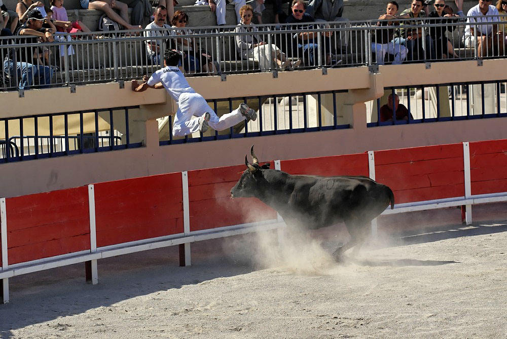 Course camarguaise ist...