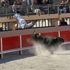 Course camarguaise ist...