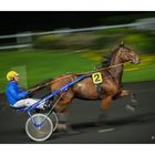 Course de trot