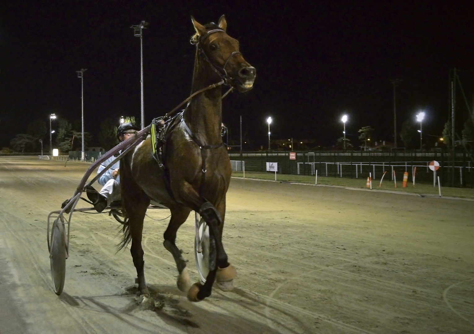 Course en nocturne