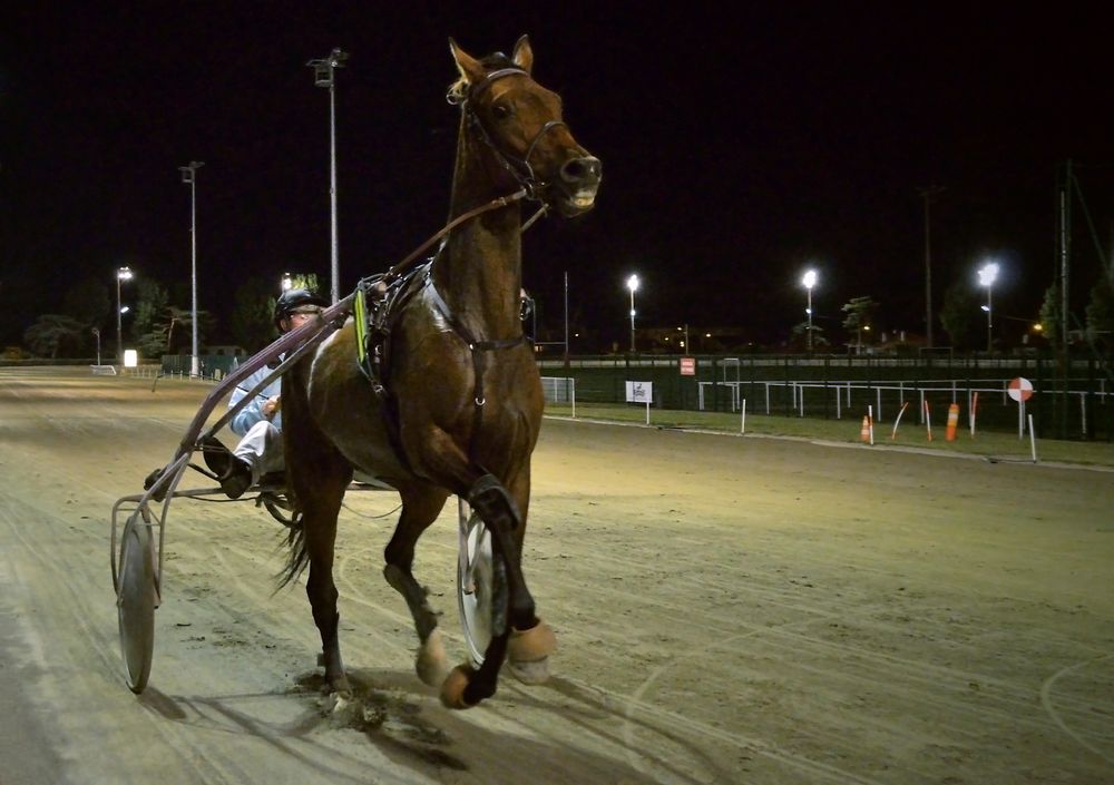 Course en nocturne