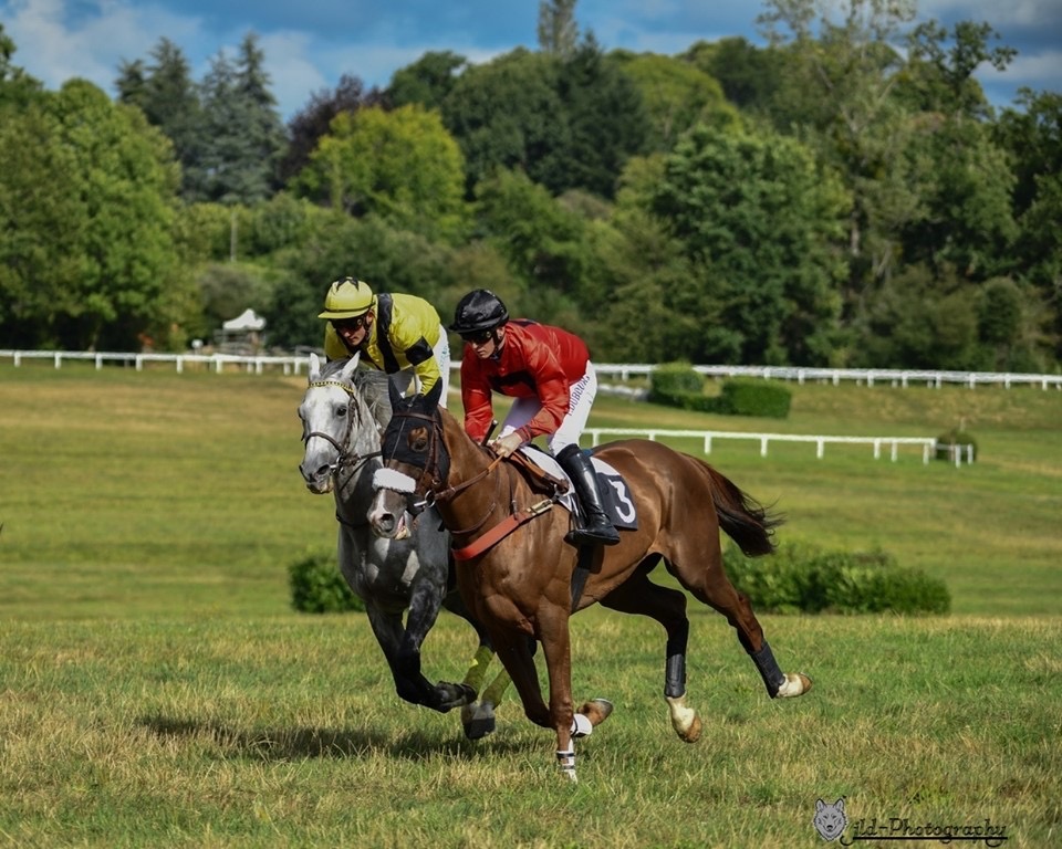 course hippique 