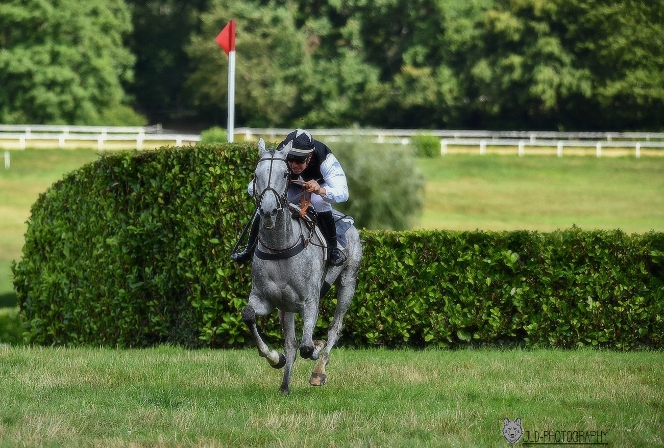 course hippique