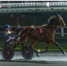 Course nocturne à l'hippodrome de vincennes