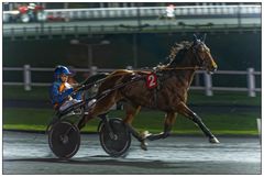 Course nocturne à l'hippodrome de vincennes