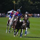 Course poursuite au Polo-Club de Veytay.