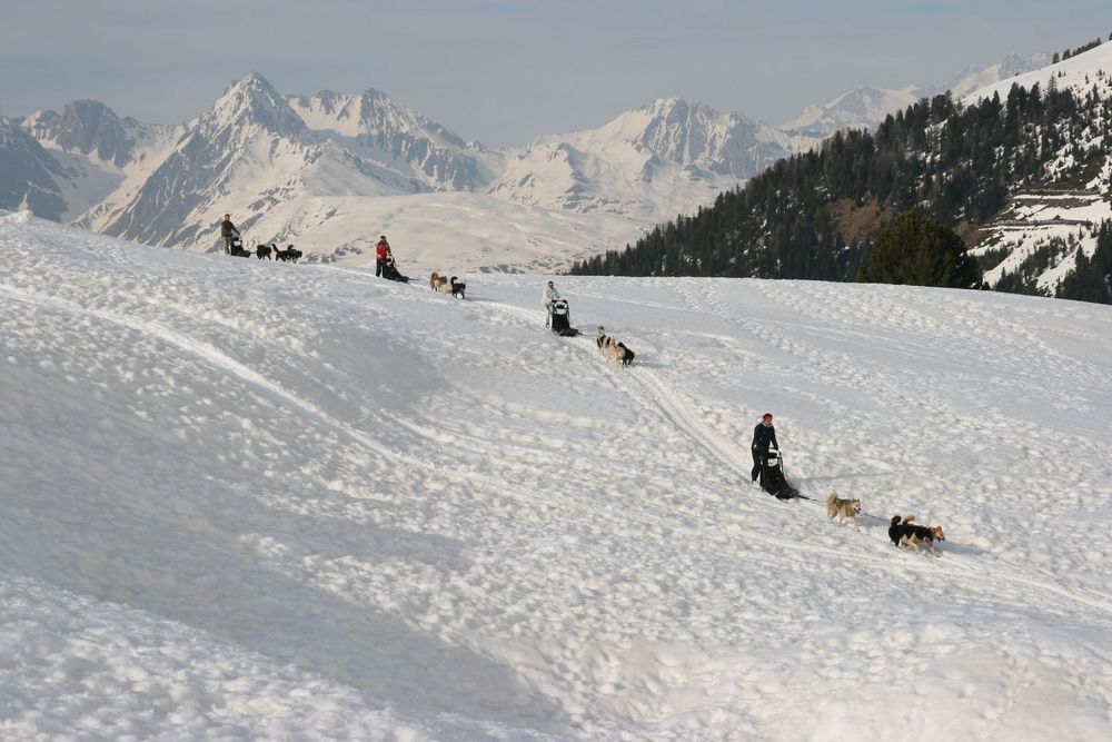 Course sur la neige