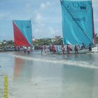 courses de yoles en martinique