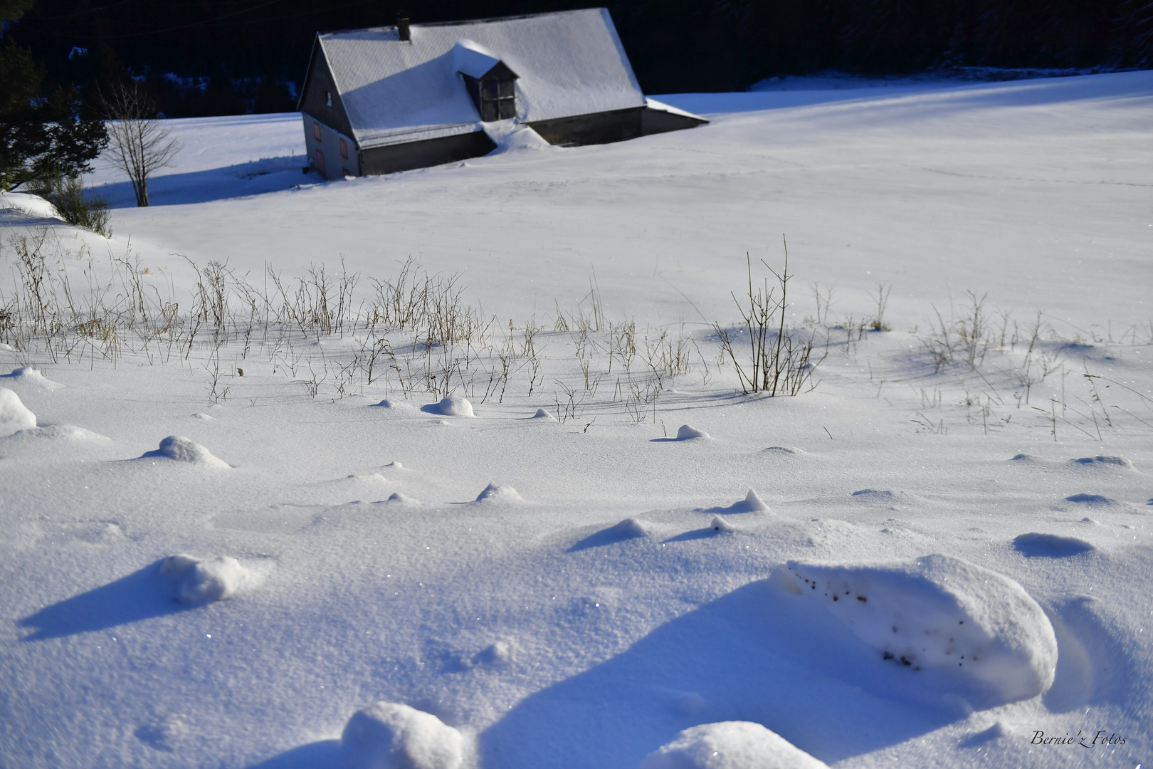 Couverture blanche