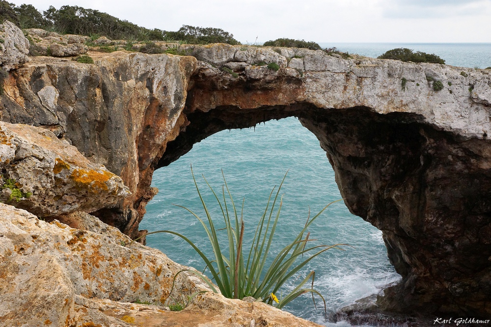 Cova des Pont