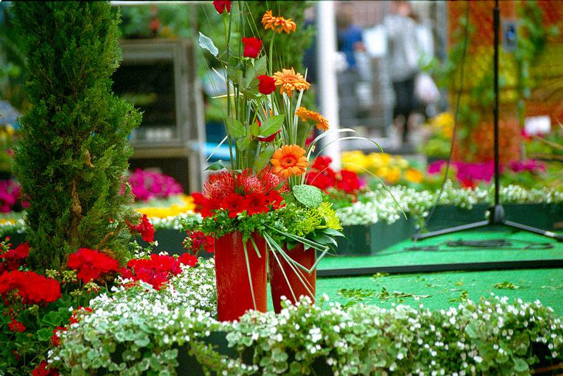 Covent Garden Flower Festival