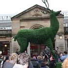 Covent Garden / Weihnachtsstimmung