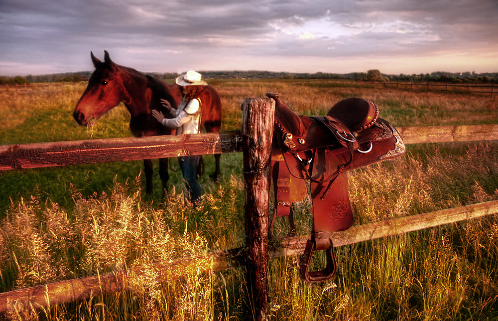 Cover/ Joeline und der staubige Cowboy