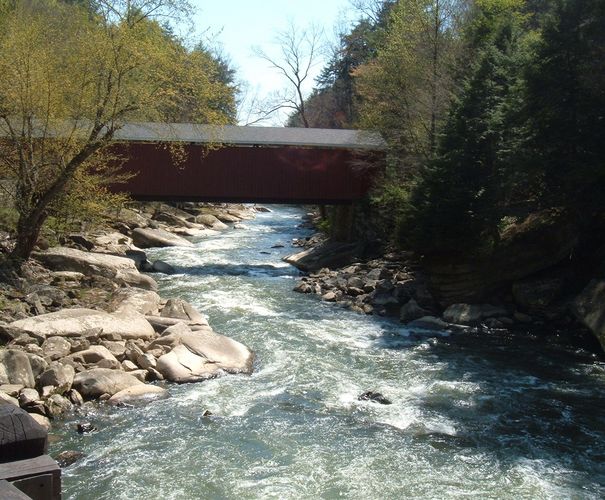 Covered Bridge at McConnels Mill