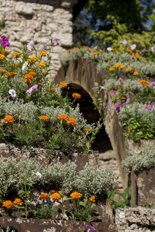 covered with flowers...