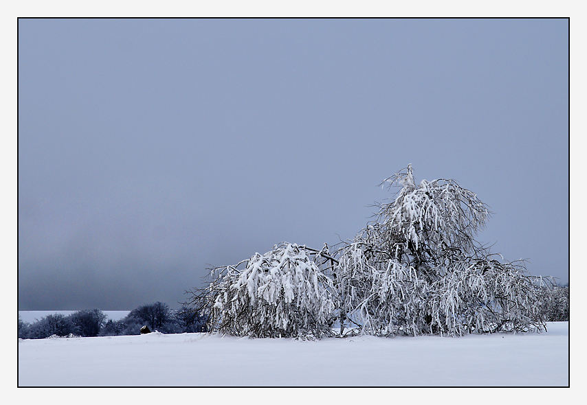 covered with snow V