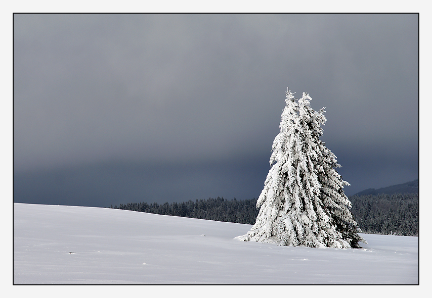 covered with snow VI