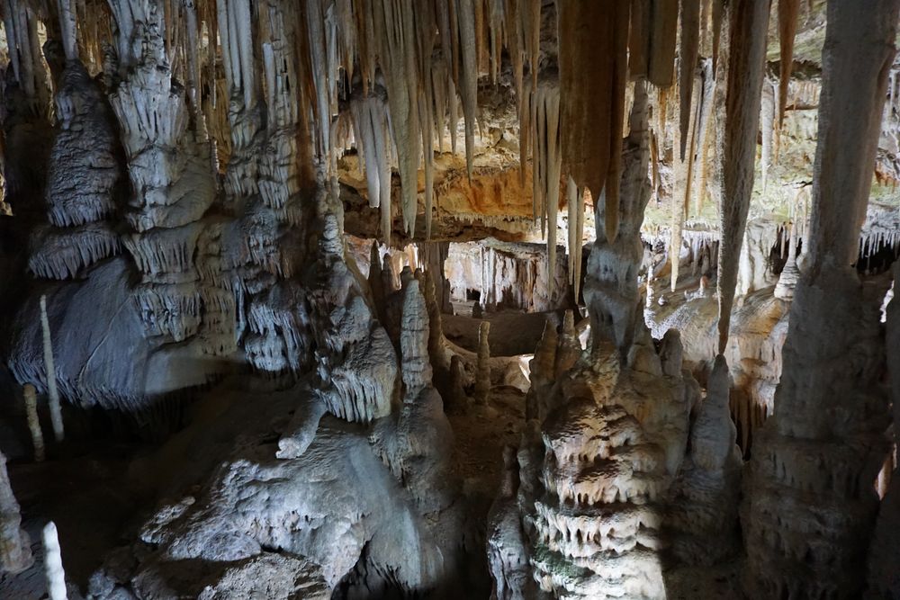 Coves De Campanet