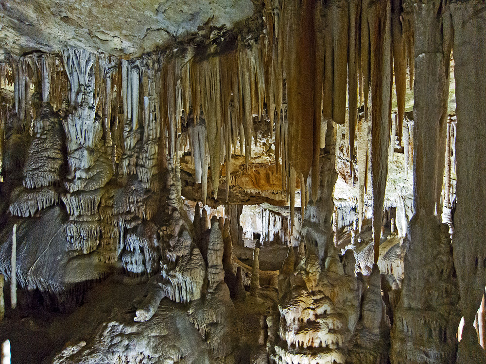 Coves de Campanet