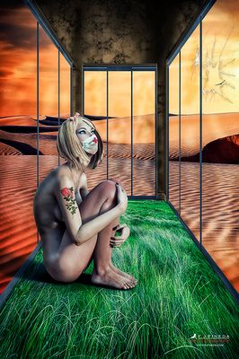 Covid 19 de F.J.Pineda