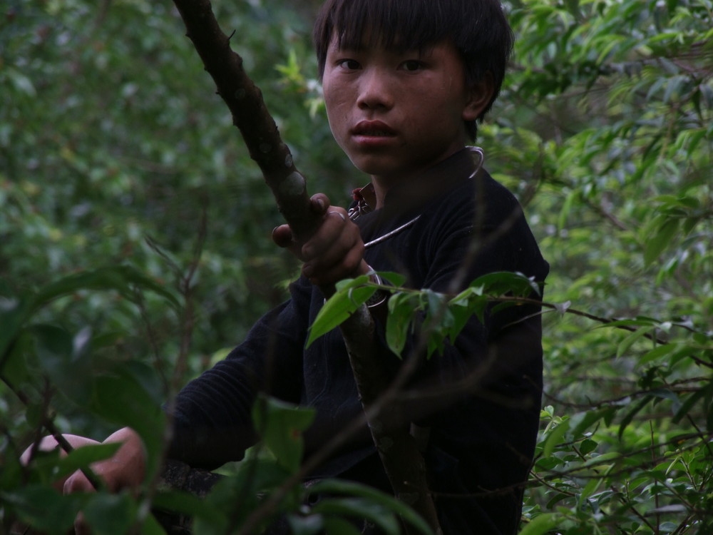 Cow Boy, Sapa, Vietnam