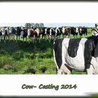 Cow-casting 2014 - Silicone wins