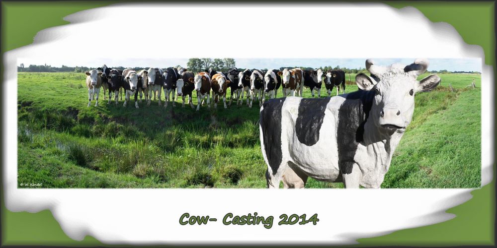 Cow-casting 2014 - Silicone wins