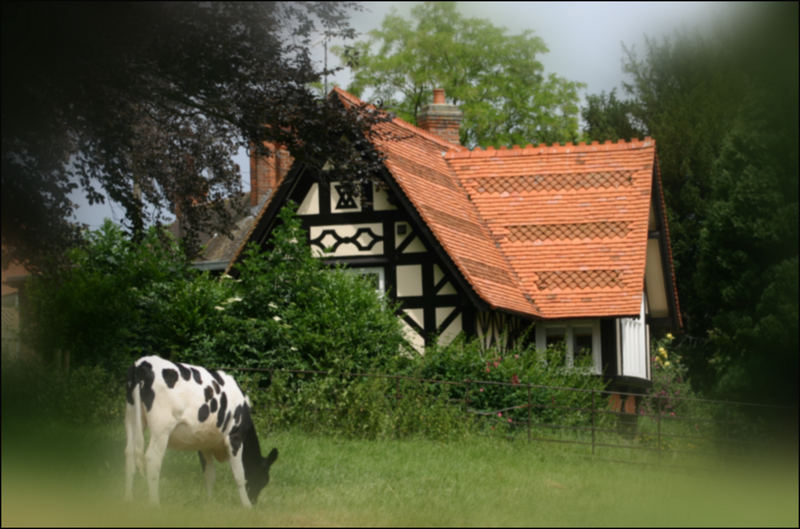 Cow Cottage