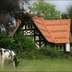 Cow Cottage