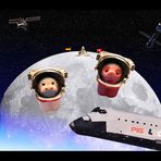 cow & pig AS astronauts