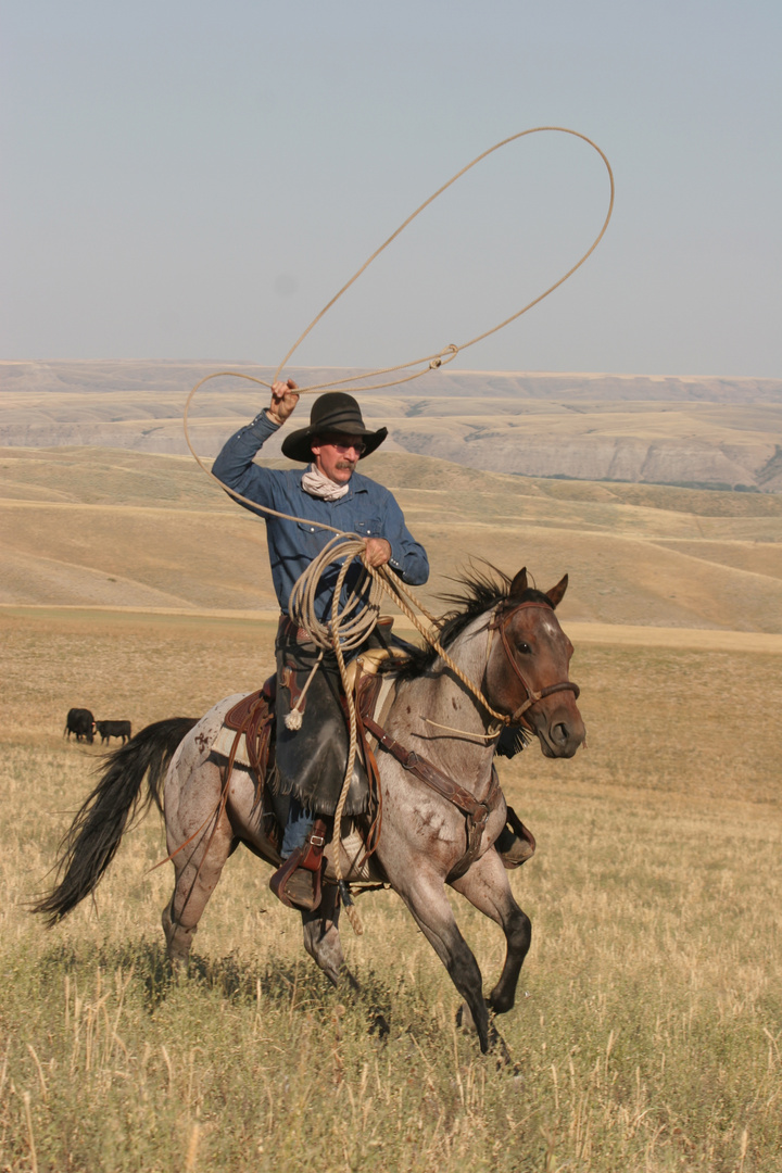 Cowboy 0508gk058 Foto Bild Usa Cowboy Pferde Bilder Auf Fotocommunity