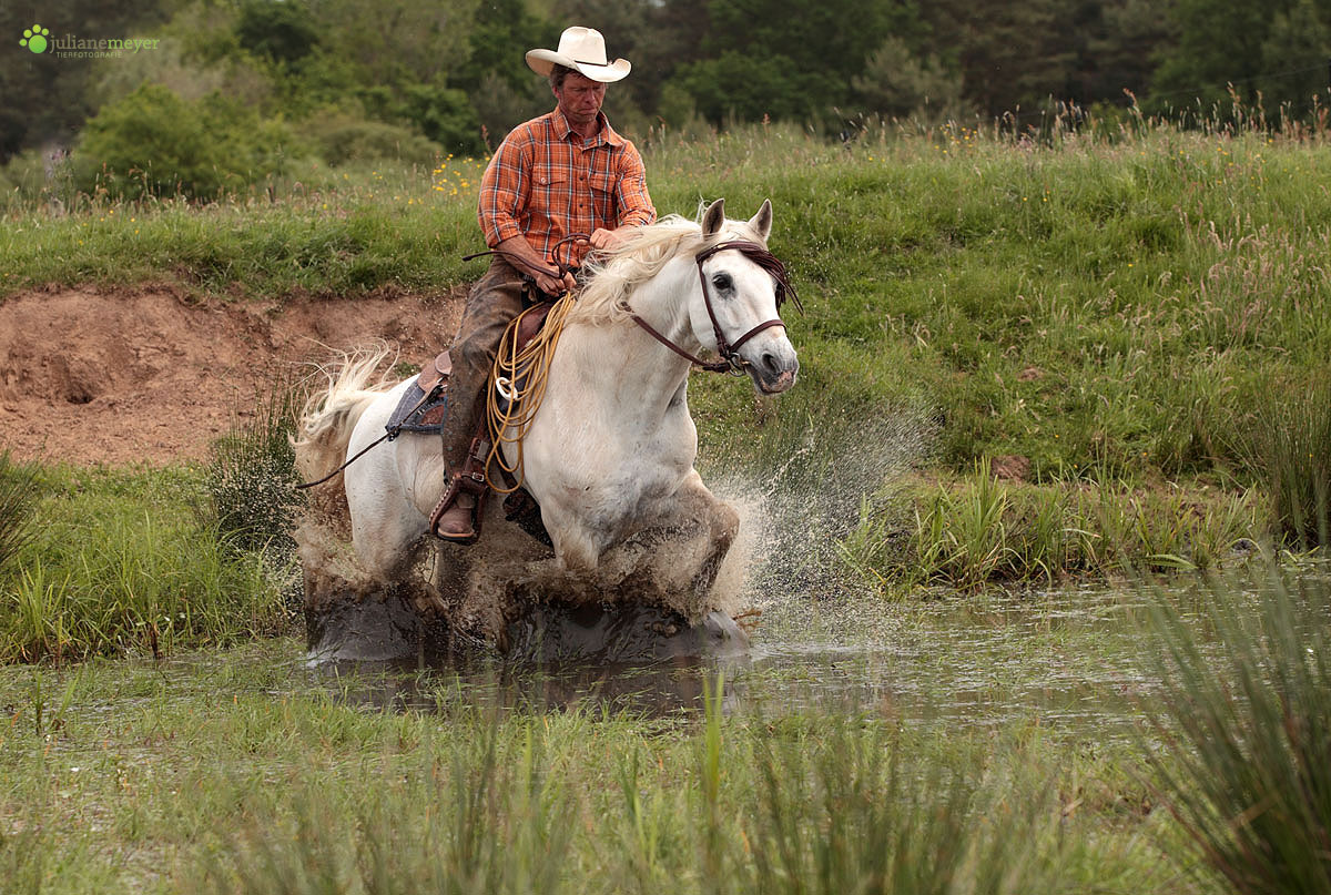 Cowboy