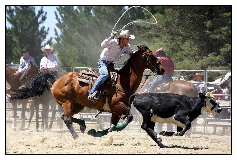 COWBOY AT WORK