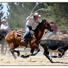 COWBOY AT WORK