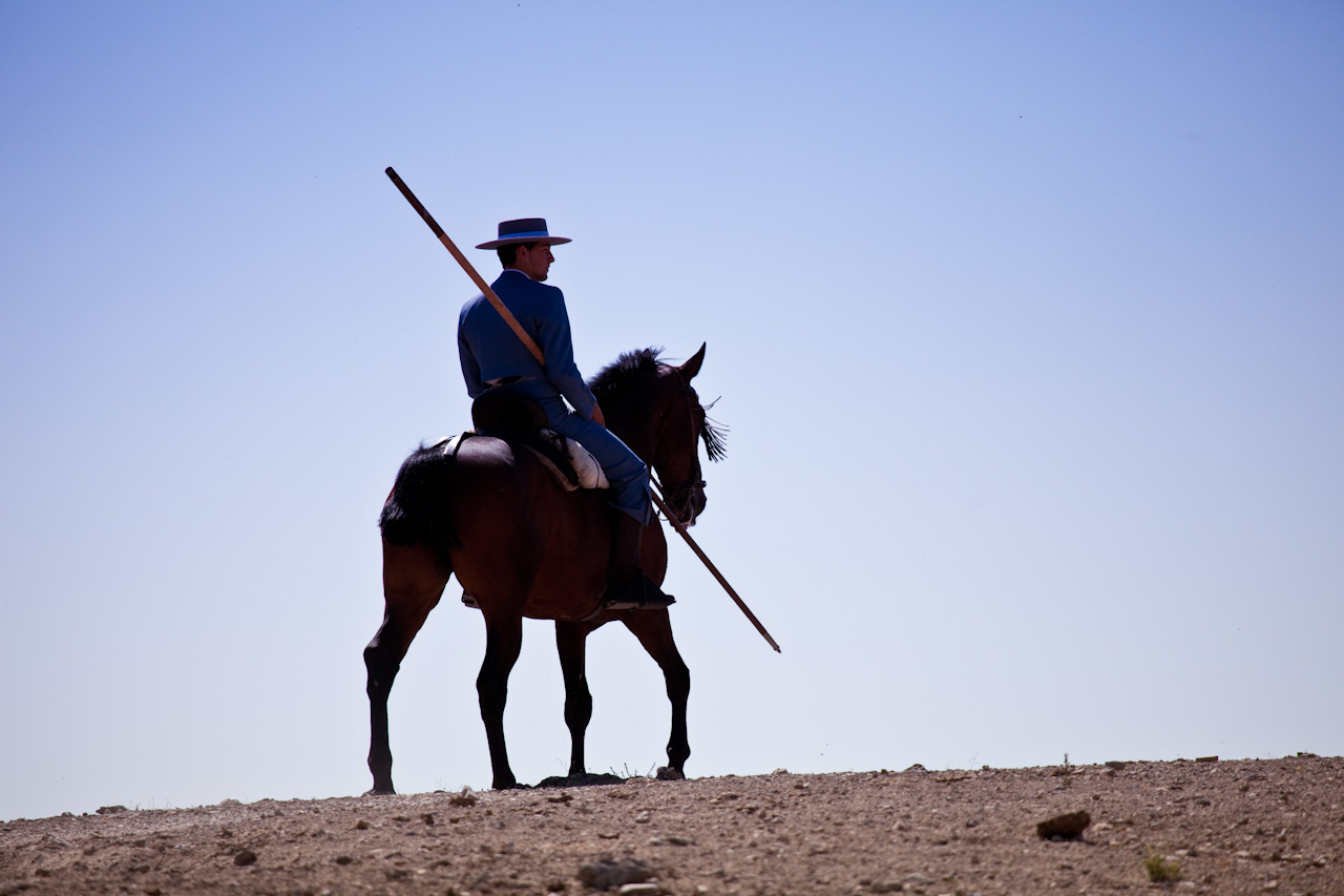 Cowboy auf einer Kampfstierfarm