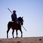 Cowboy auf einer Kampfstierfarm