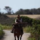 Cowboy aus der Maremma Butteri