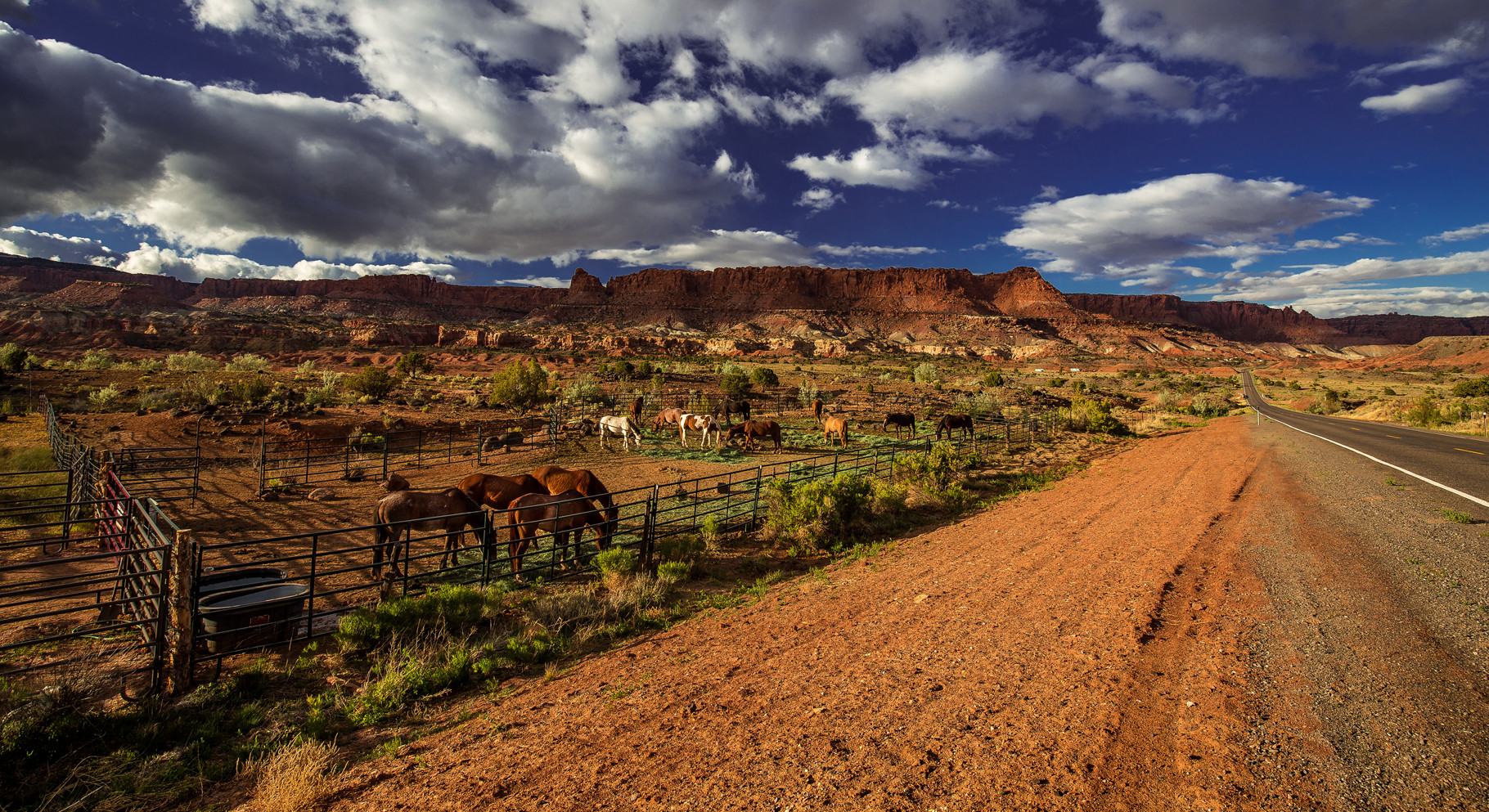 Cowboy Country