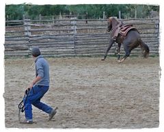 Cowboy sein will gelernt sein