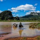 Cowboyidylle in Vinales