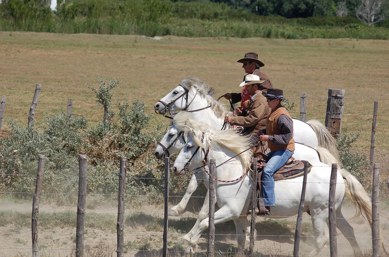 Cowboys and -girls at work