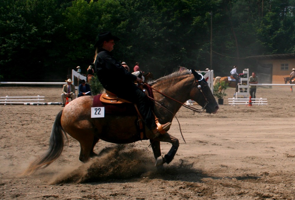 Cowboys and Hoses