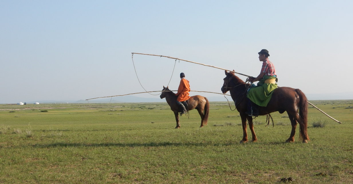 Cowboys der Mongolei