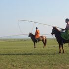 Cowboys der Mongolei