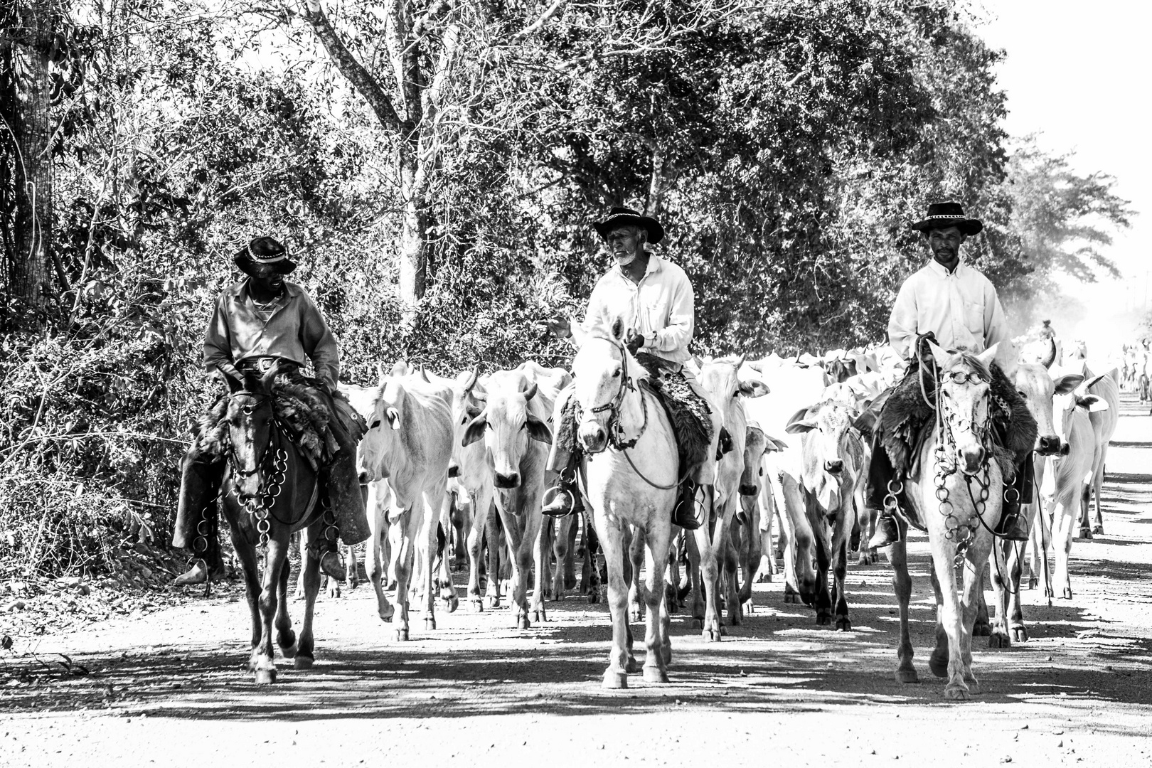 Cowboys im Pantanal, Brasilien